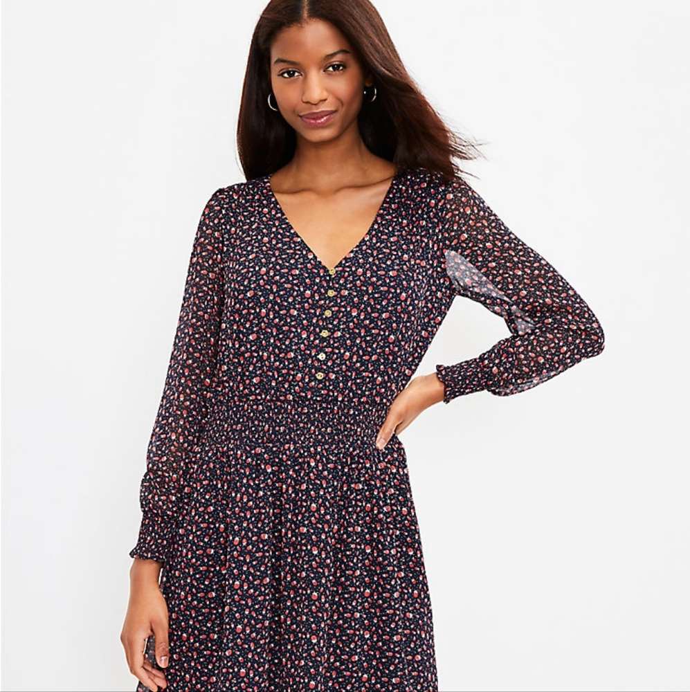 LOFT Ladybug Smocked Button Front Peasant Dress Navy Small